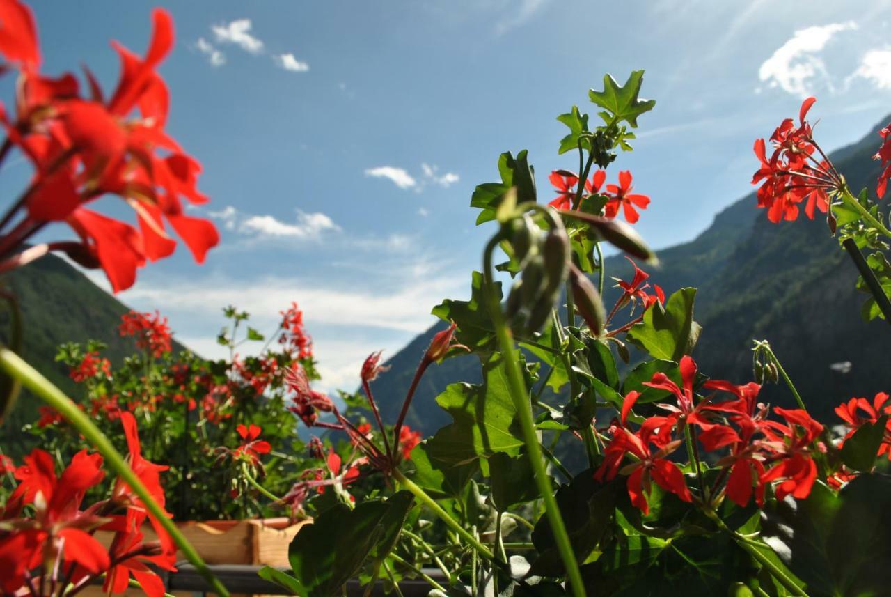 Hotell Millefiori- Alpine Event Lodge Вальтурнанш Екстер'єр фото